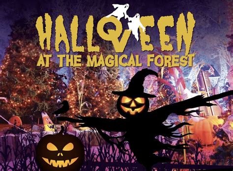 Discover the Spellbinding Halloween Surprises that Await at the Magical Forest